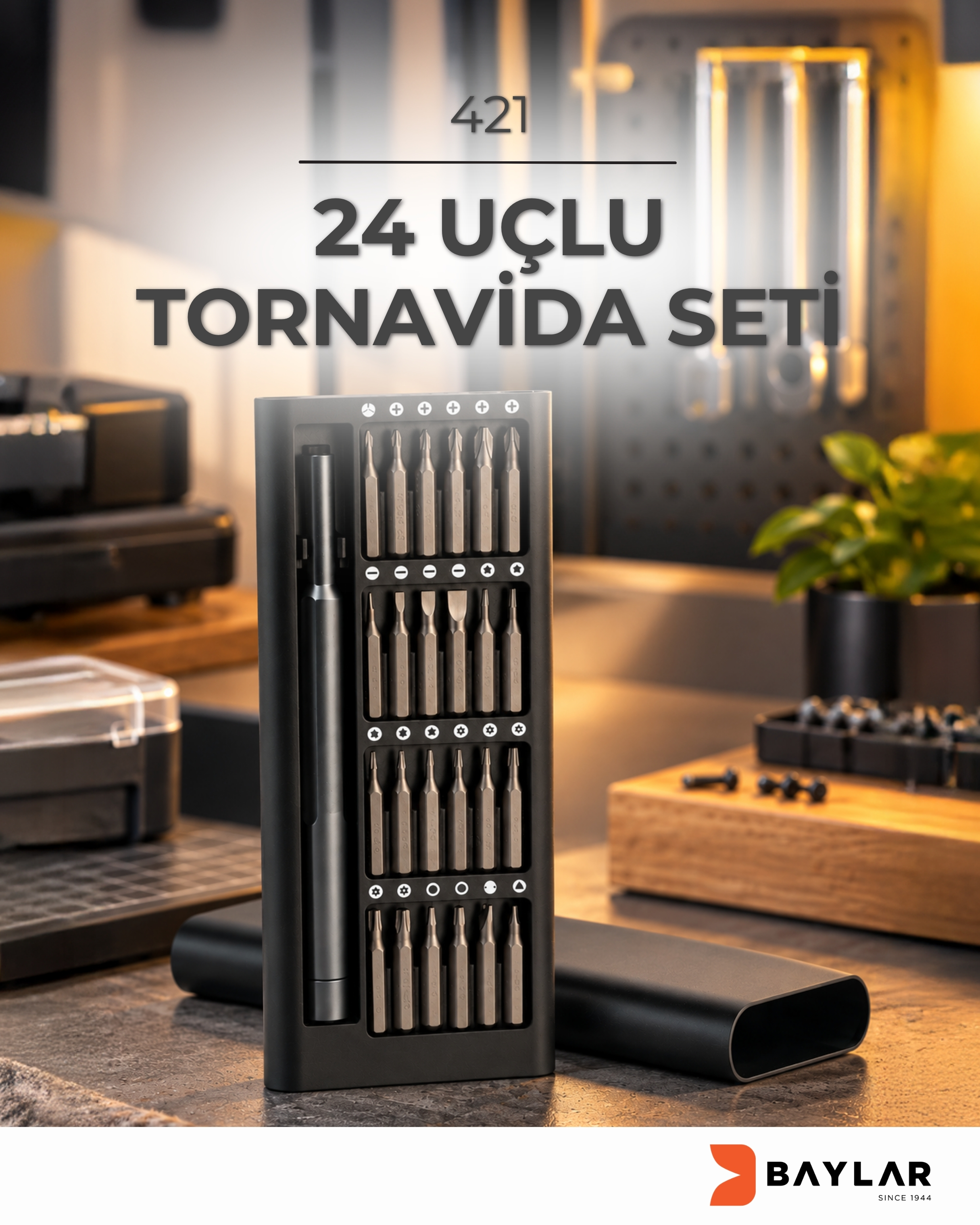 421 24 Uçlu Tornavida Seti